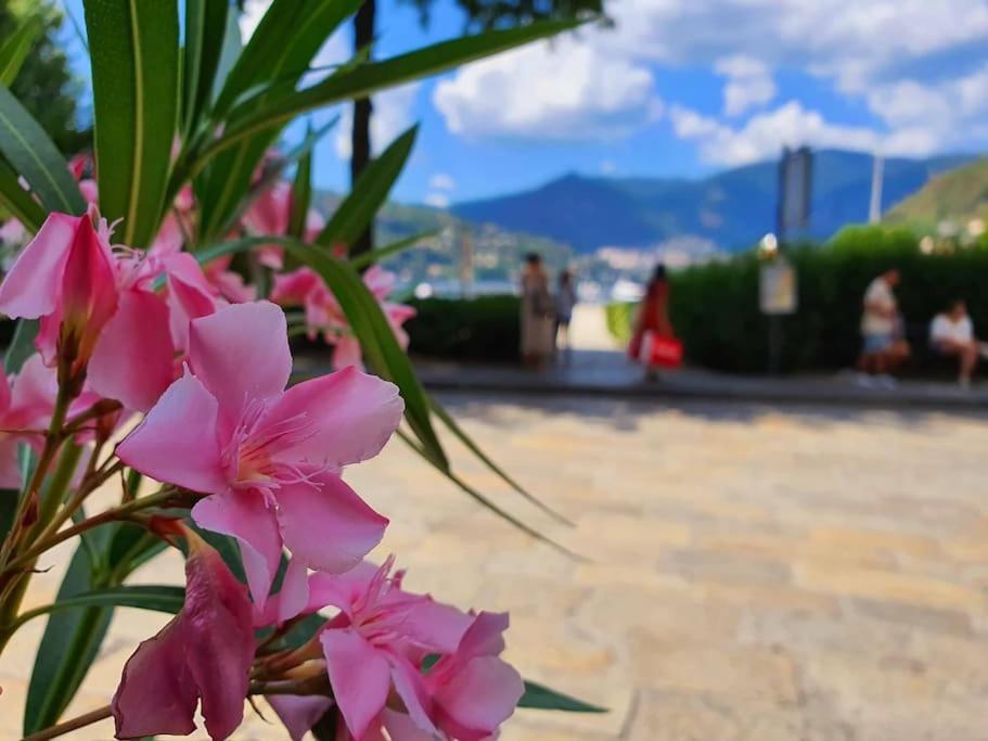Plaza Deluxe Modern Center House - View Como Lake - Top Privacy Bagian luar foto